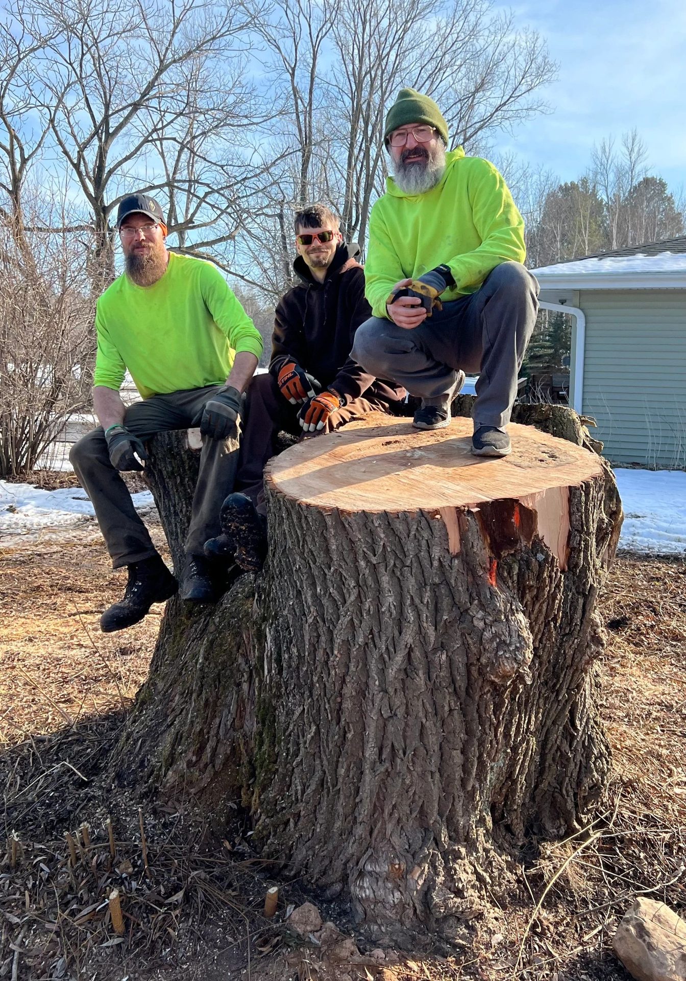Roots and Restoration LLC crew on a large tree stump after a removal
