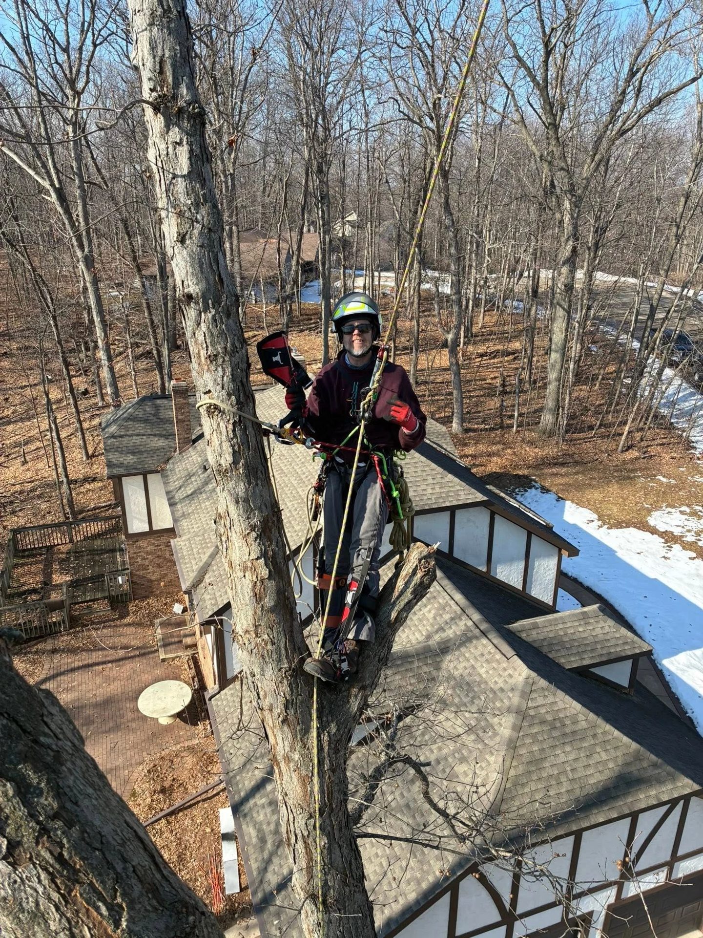 What Counts as an Emergency Tree Service Call in NE Wisconsin