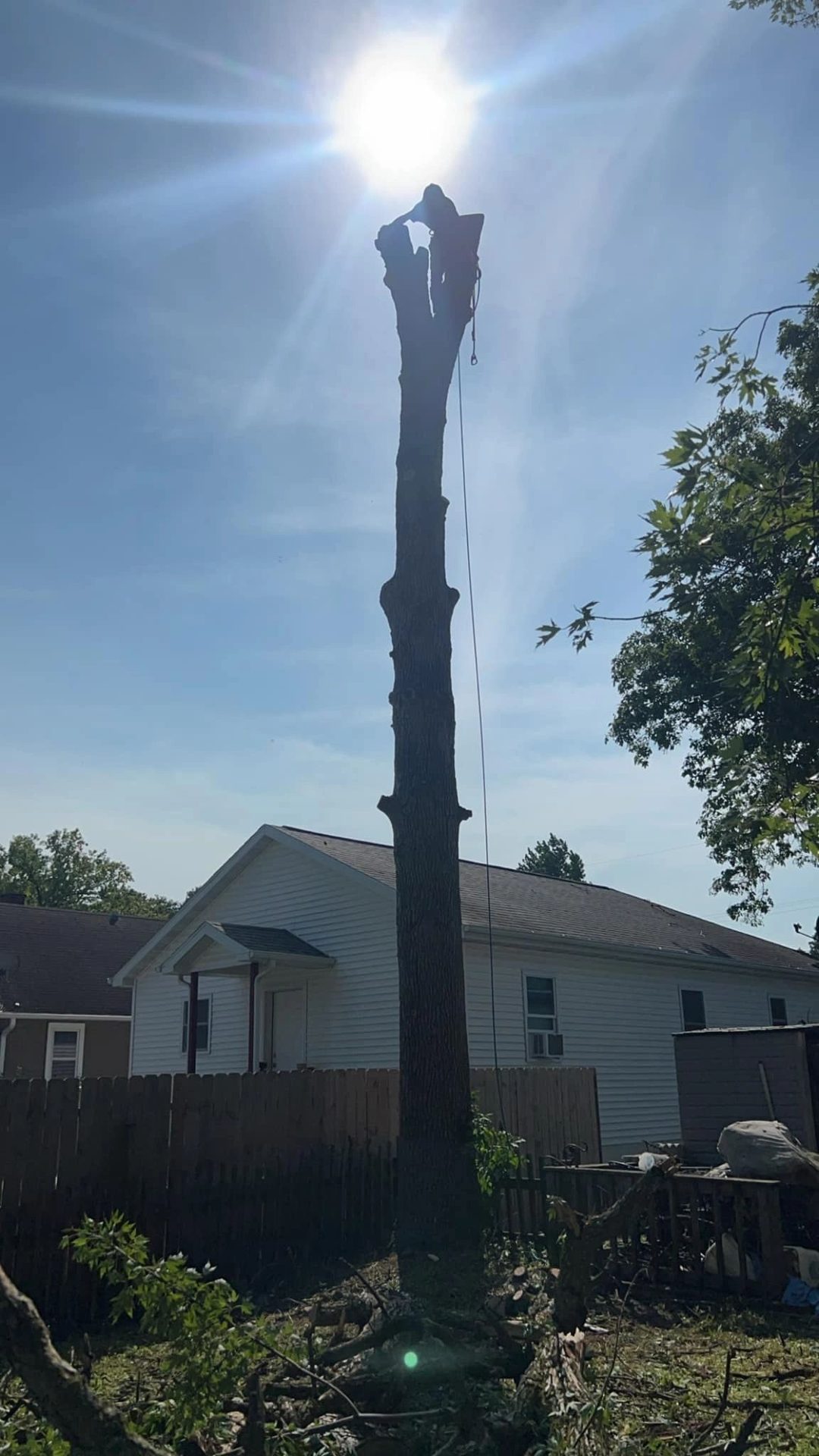 Tree work by Roots and Restoration LLC in Northeast Wisconsin
