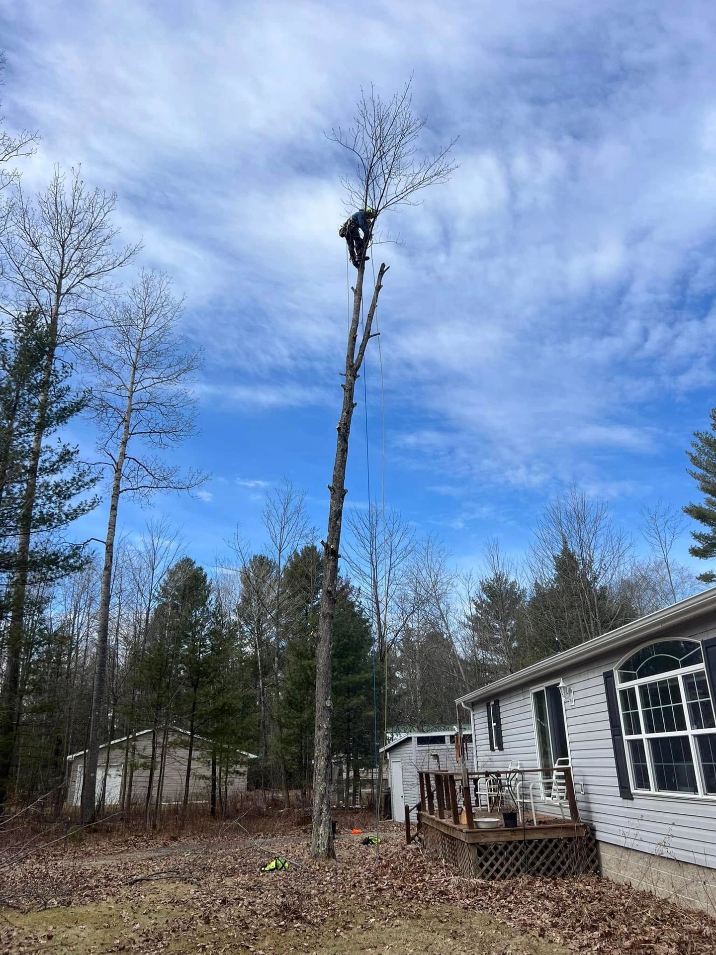 Tree work by Roots and Restoration LLC in Northeast Wisconsin